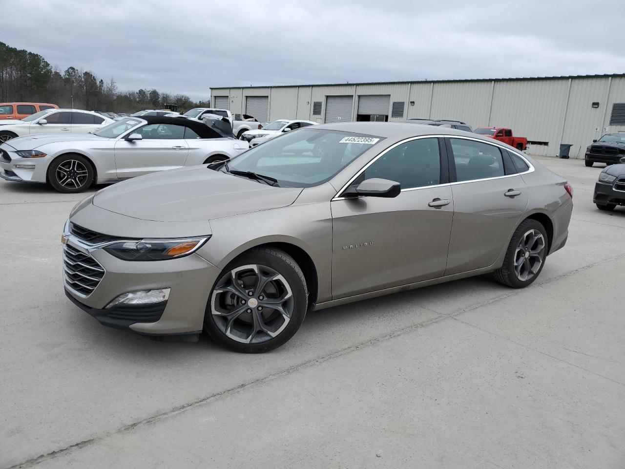 Car Image Hover