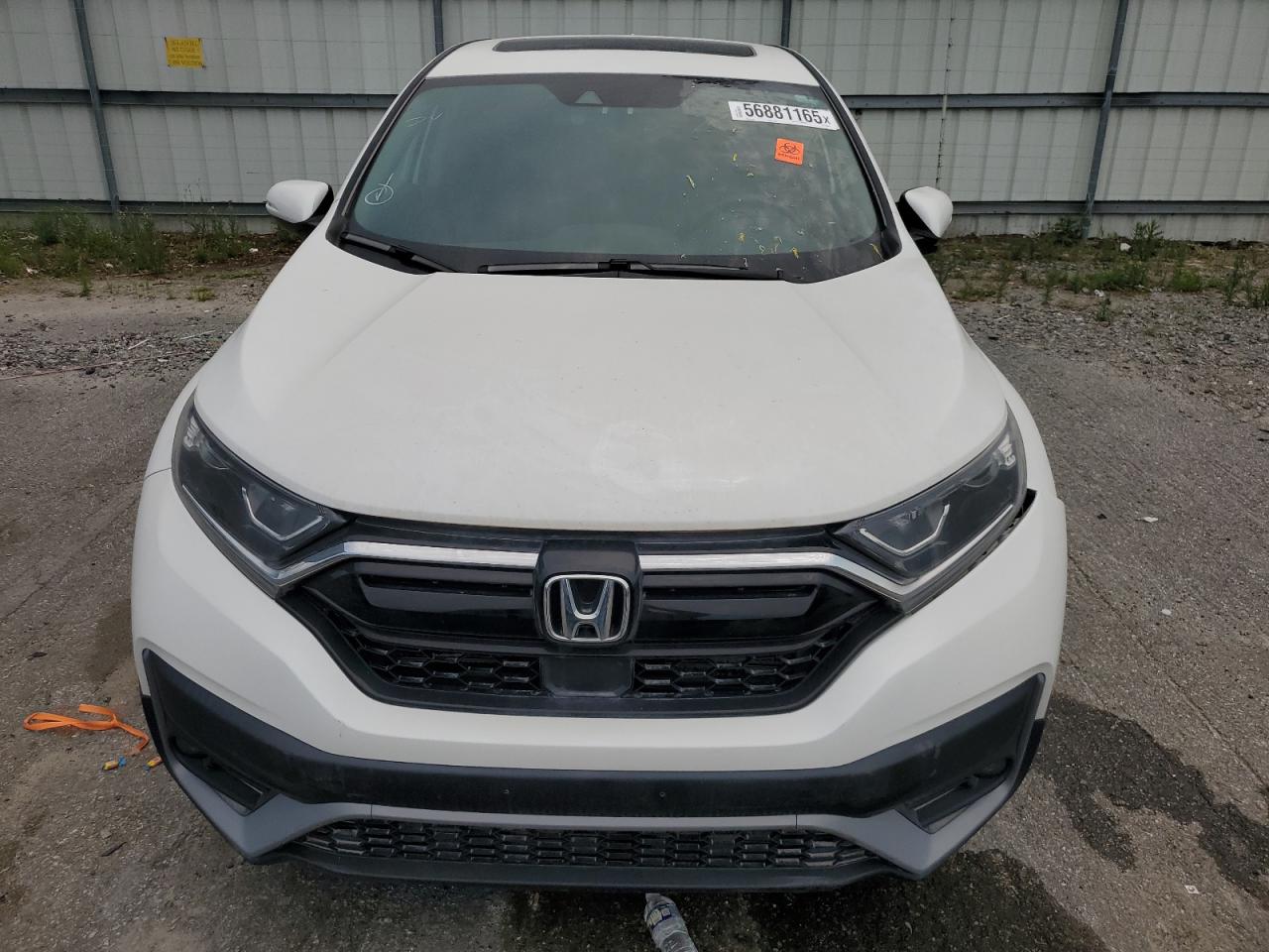 Car Image Hover